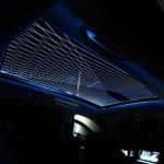 Sky Lounge OEM Ambient Lighting For BMW X1 U11 - Image 5