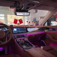 Dynamic Ambient Light for HongQi H9 2020-2023
