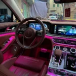 Dynamic Ambient Light for HongQi H9 2020-2023