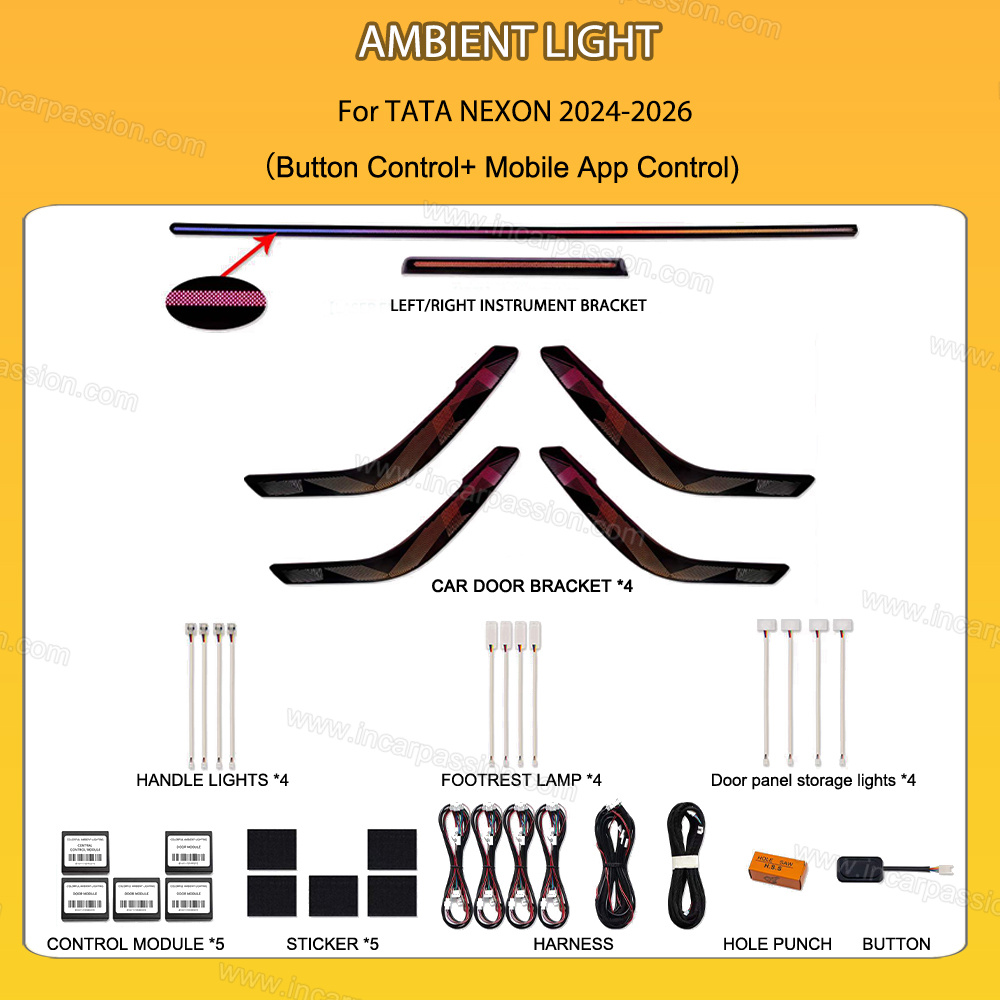 6G5E4R56EECCC Dynamic Ambient Light Kits for TATA NEXON 2024-2026 - Image 1